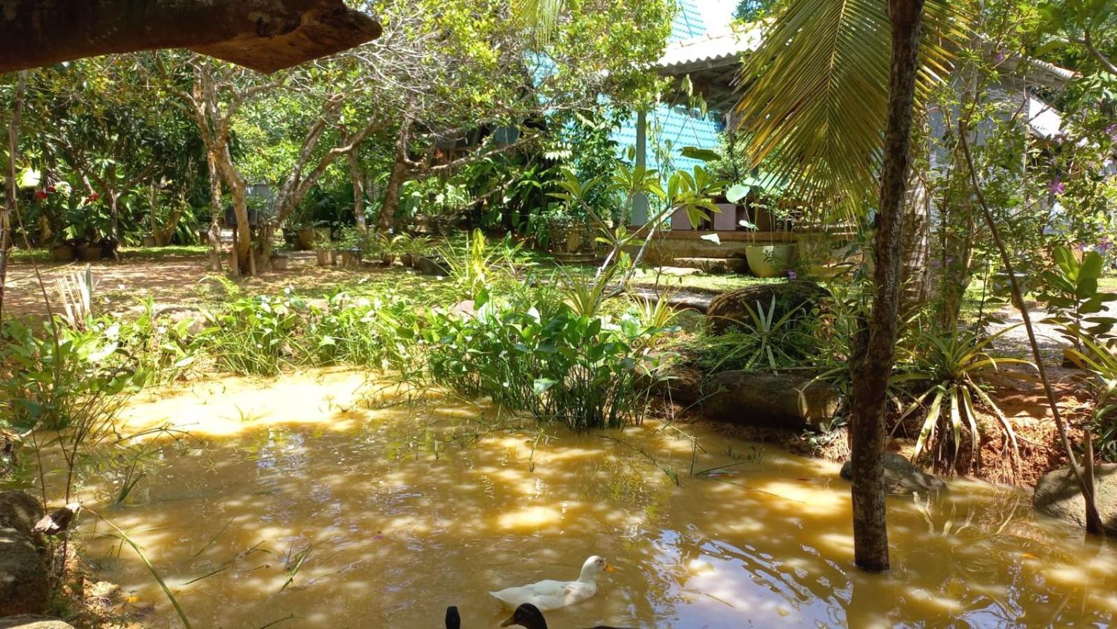 Villa Ovita Talpe Exteriér fotografie