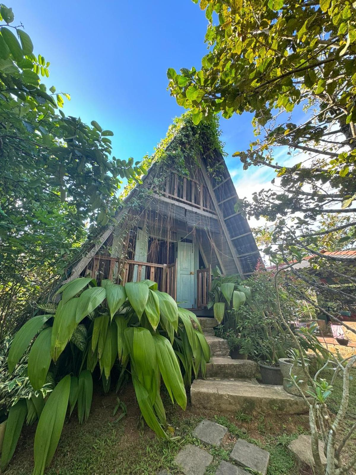 Villa Ovita Talpe Exteriér fotografie